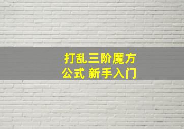 打乱三阶魔方公式 新手入门